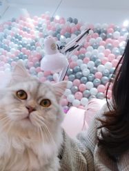 -Beauty Nails 美甲美睫皮肤管理