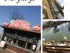 -田园东方蜜桃村的田野营地