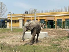 -哈尔滨北方森林动物园