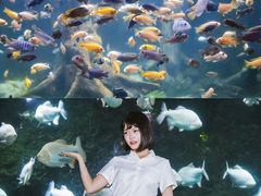 -南昌海洋公园