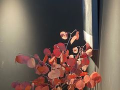 -长春银盐咖啡馆