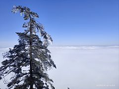 -瓦屋山景区