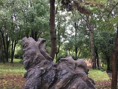 -东湖落雁景区