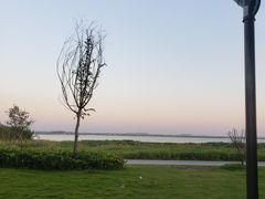 -七的湖·晚芳亭·阳澄湖农家菜·大闸蟹(莲花岛店)
