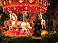 -拉斯维加斯永利酒店