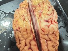 -果松木炭酸菜铜火锅·外婆参鸡汤