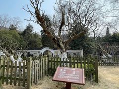 -南山风景名胜区