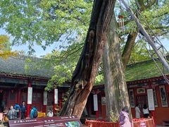-少华山国家森林公园