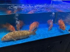-双天海鲜楼 · 43年老字号