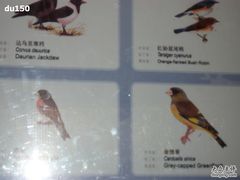 -北京麋鹿生态实验中心