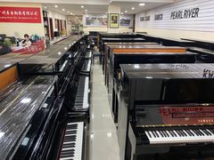 -天籁琴行(淘金店)