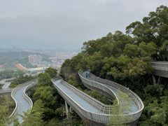 -福道