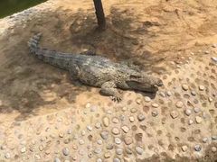 -石家庄市动物园