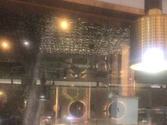 -探窝·竹笙椰子鸡(杨箕店)