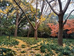 -上海方塔园