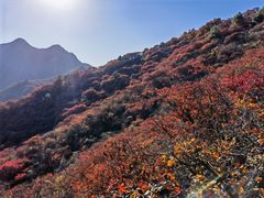 -水峪民俗村