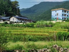 -梁野山景区