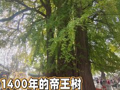 -潭柘寺景区