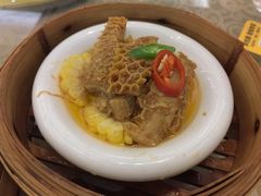 沙爹酱蒸金钱肚-卡尔顿东方银龙酒店•广西菜•早茶