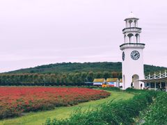 -南京枫彩漫城