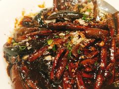 -新吉士·上海菜(浦东LCM置汇旭辉店)