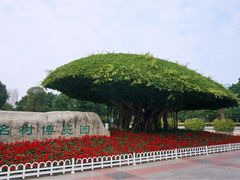 门面-南宁南湖公园