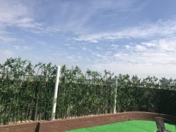 -88潮牌造型烫发·染发