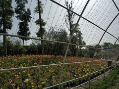 -秀丽东方