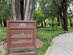 -北京市劳动人民文化宫(太庙)