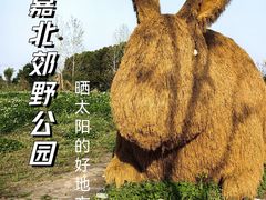 -嘉北郊野公园