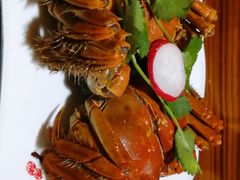 -呼吸森林·生态农庄农家乐私房菜