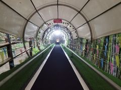 -藏龙百瀑风景区