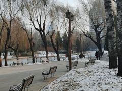 -团结湖公园