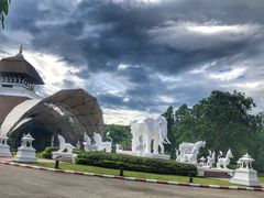 -清迈夜间动物园