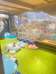 -卡通尼·Safari非洲探索乐园·生日会(金桥国际商业广场店)