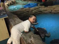 -无锡动物园·太湖欢乐园