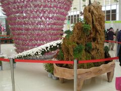 花展-西安世博园