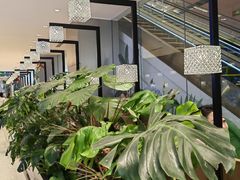 -THE WOODS 简餐 (国贸商城店)