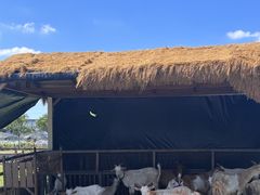 -栖露营camping·天幕烧烤·团建拓展·采摘营地