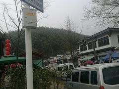 -长兴慧子土特产茶行