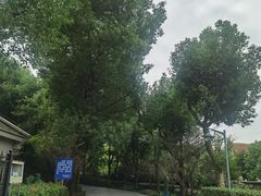 -峙山公园
