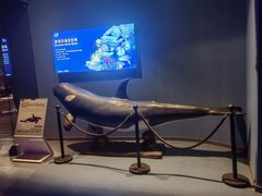 -重庆欢乐海底世界