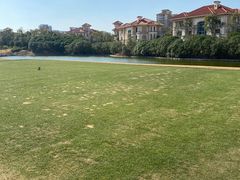 -棕榈滩海景高尔夫俱乐部