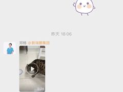 -美联众合动物医院·24h转诊中心