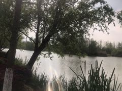 -白鹭湾湿地公园