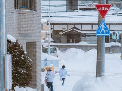 -翼丰日语·日本留学·移民服务中心(宝安校区)