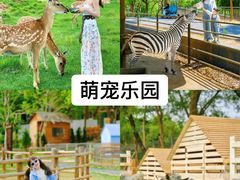 -上海山野camping·户外天幕烧烤·团建拓展营地