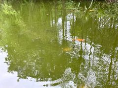 -荔香公园