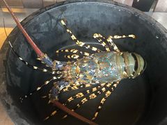-真浪花园海鲜餐馆