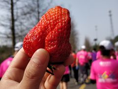 -南京市无想山景区